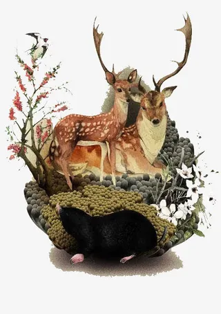 古典手绘梅花鹿装饰免抠