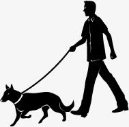 牵着狗散步的男人免抠