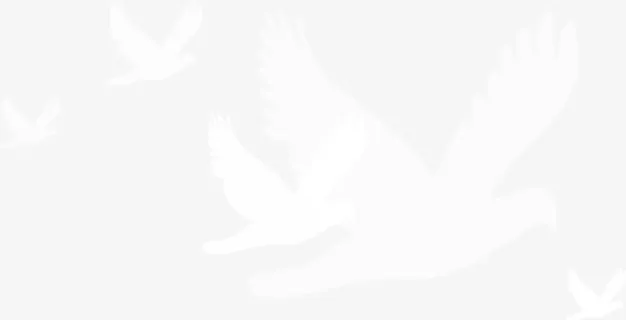 白色鸽子背景党建免抠