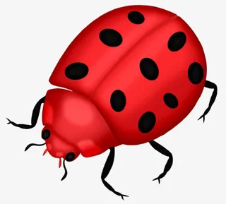 红色瓢虫免抠