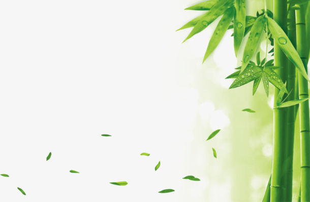 竹子漂浮落叶免抠