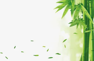 竹子漂浮落叶免抠