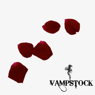 深红色漂浮花瓣免抠