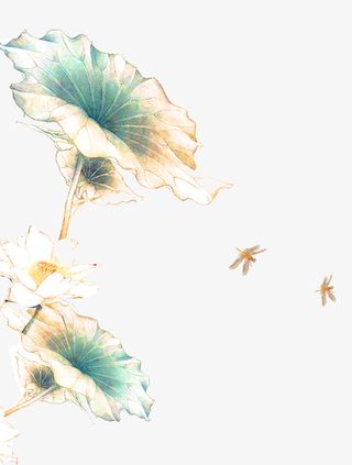 彩绘荷叶图免抠