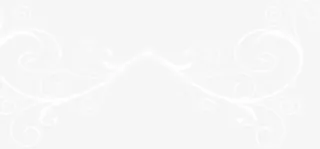 白色中国风手绘花朵背景