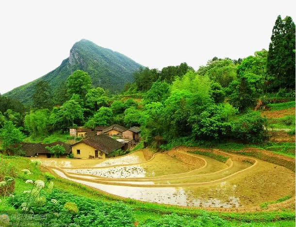绿色农田免抠