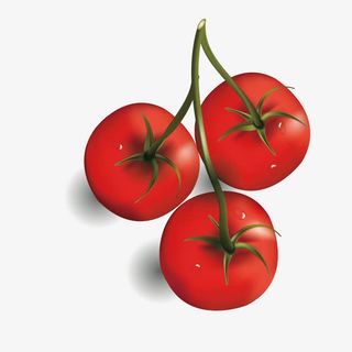 矢量3D西红柿免抠