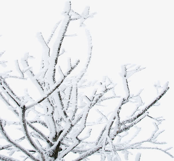 扁平风格创意合成白色的雪花免抠