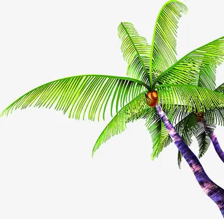 春天绿叶椰林装饰免抠