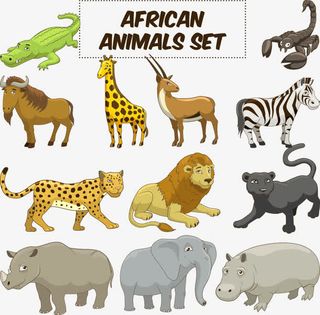 矢量卡通动物大全免抠