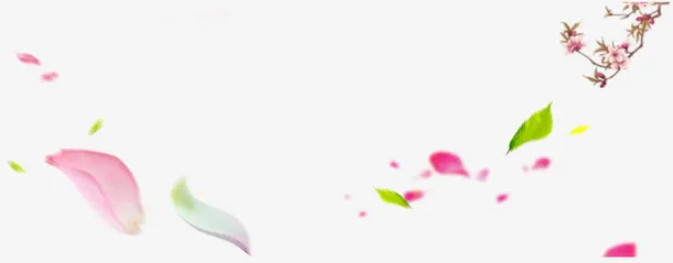 花瓣树叶漂浮元素免抠