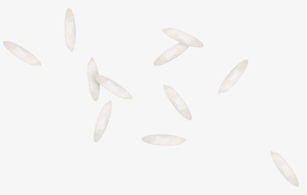 白色小花瓣免抠