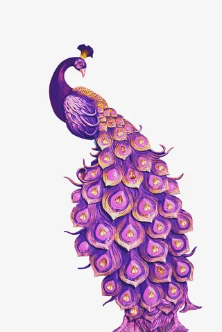 紫色孔雀（683*1024）免抠