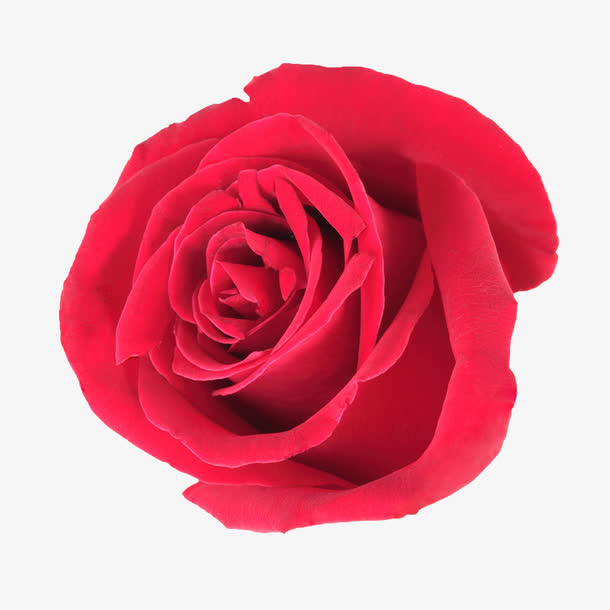 鲜花图案抽象鲜花素材免抠