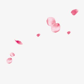 双十一粉色花瓣主页装修免抠