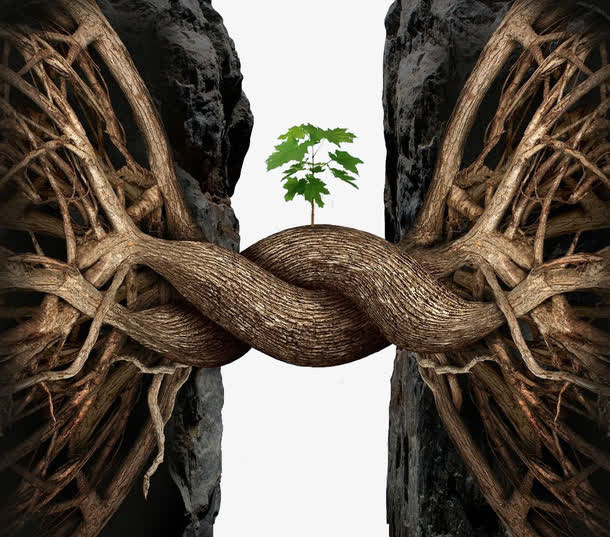 创意树木免抠