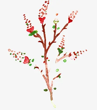 红色手绘花花免抠