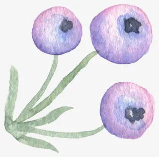 童话水墨手绘植物浆果免抠