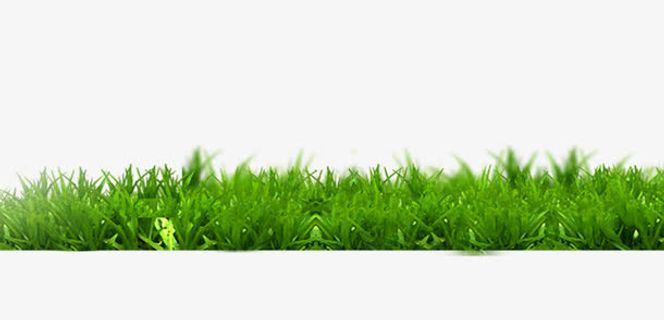 草地矢量图免抠