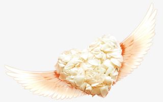 带翅膀的白色玫瑰花瓣的心形免抠