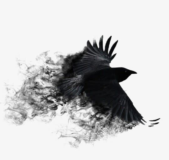 黑色老鹰免抠
