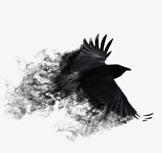 黑色老鹰免抠