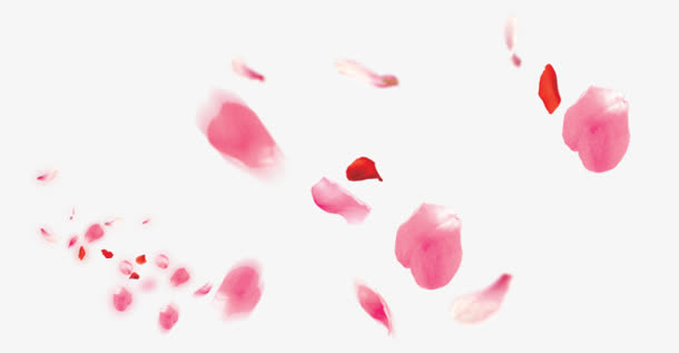 空中散落飞舞花朵免抠