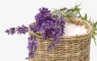 篮子熏衣草免抠