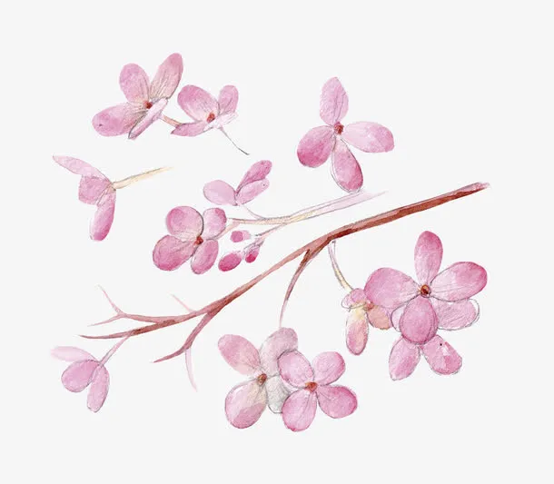 手绘的粉色花免抠