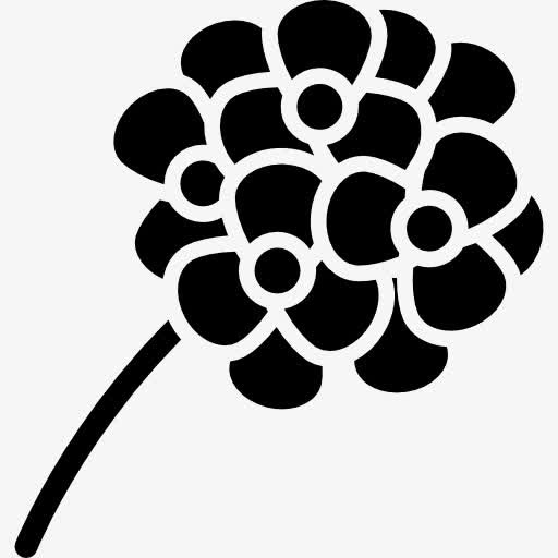 花图标免抠