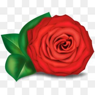 一朵盛开的带绿叶玫瑰花免抠