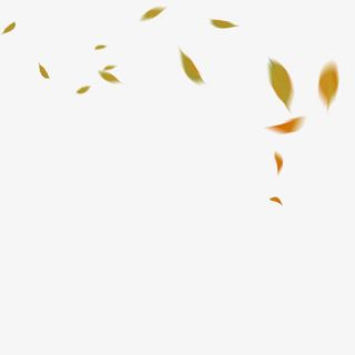 落叶免抠