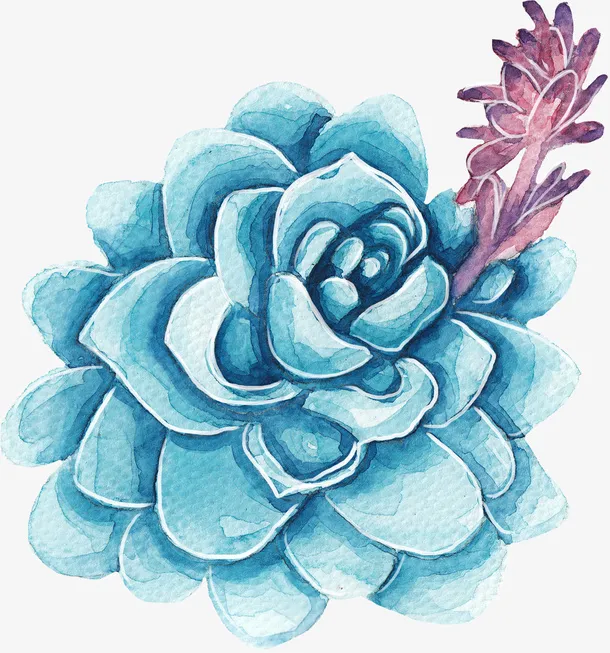 小清新插画广告设计卡通绿色盆栽免抠