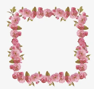 鲜花边框免抠