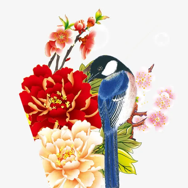花鸟素材免抠