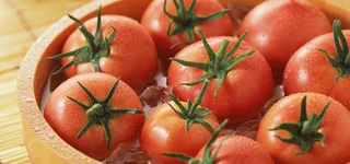 美食西红柿圣女果banner背景高清