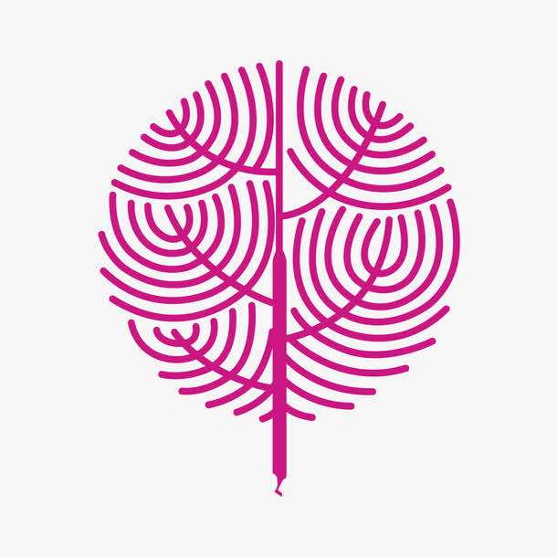 纹理树枝免抠