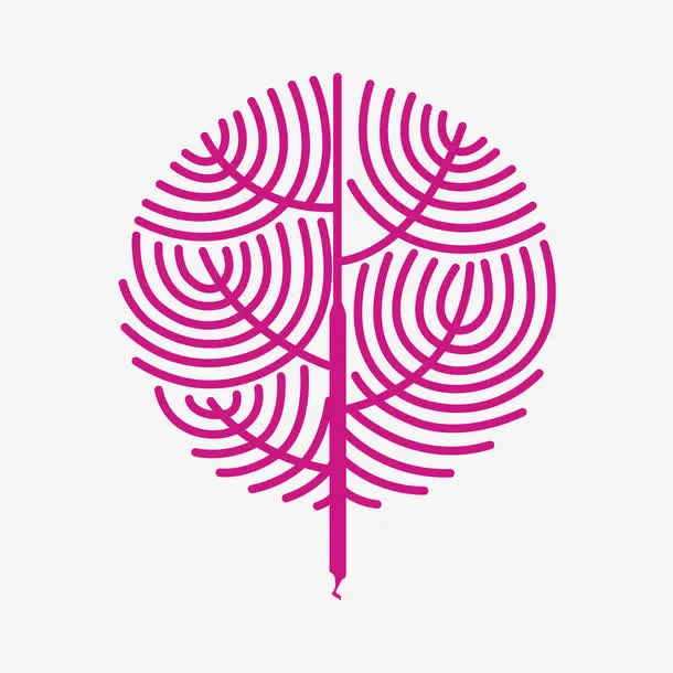 纹理树枝免抠