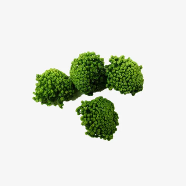 三七花茶元素免抠