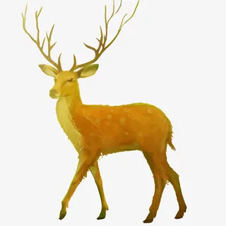 迷路谜鹿麋鹿免抠