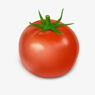 手绘新鲜西红柿免抠