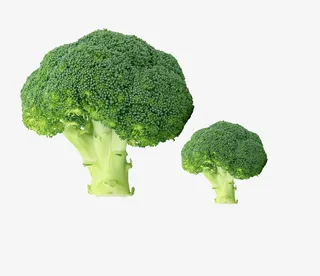 两个西蓝花元素免抠