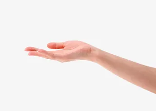 手拿，手持，手，美手免抠