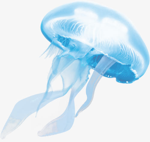 水母免抠