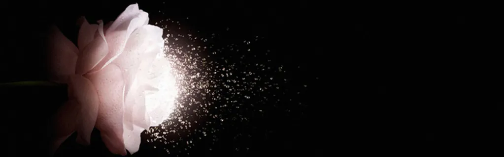 梦幻花朵光效背景高清