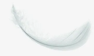 白色羽毛七夕免抠