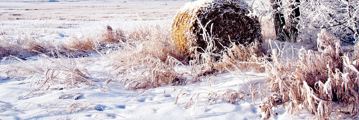 冬季雪地背景高清