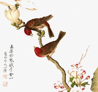 中国风手绘花鸟免抠