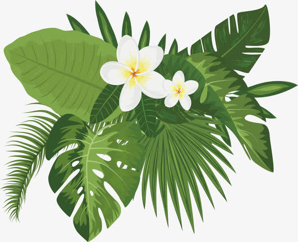 白色花朵标题框免抠