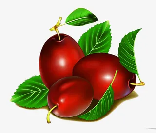 枣子与枣叶卡通免抠